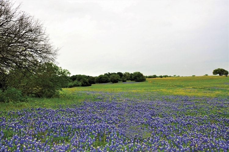 Trinity Rock Ranch