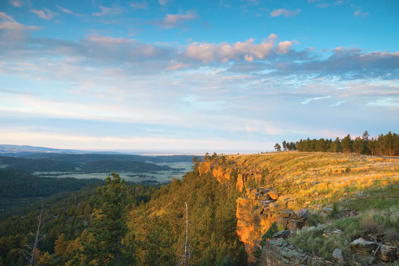 Black Hills Mesa