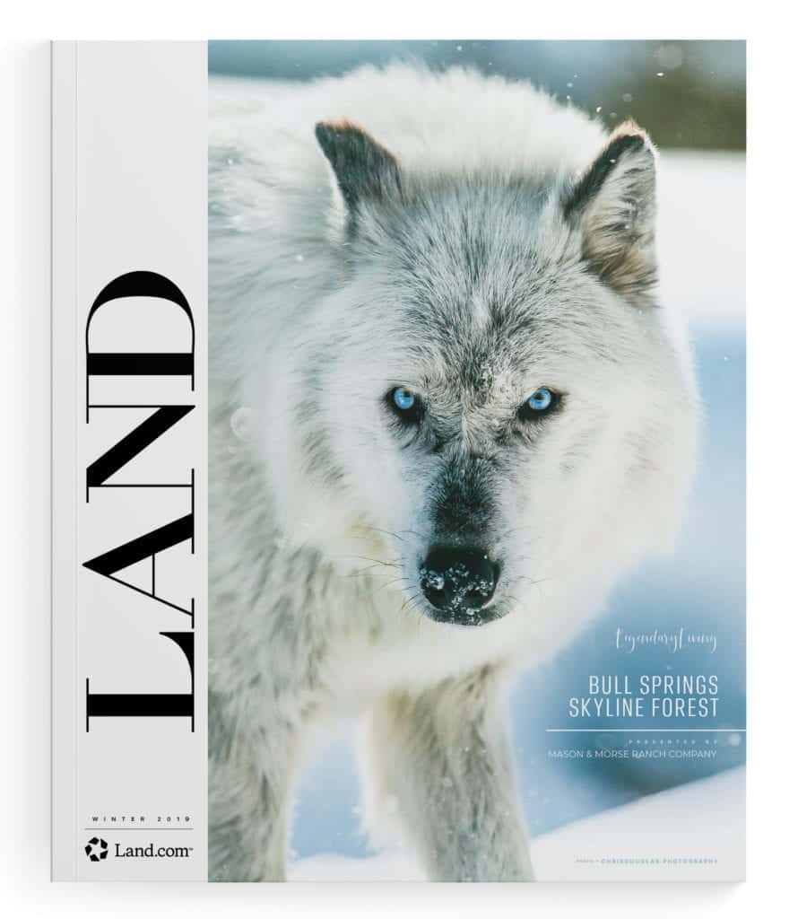 LAND Winter 2019 Cover