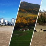Lands of America 2019 Biggest Land Sales