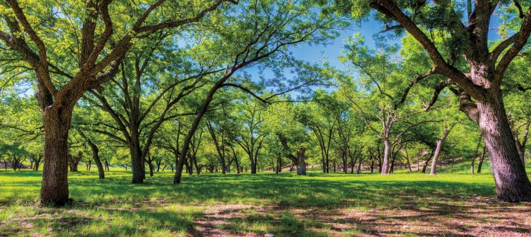 Pebble River Ranch