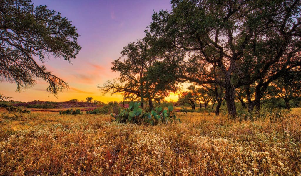 Pennington Creek Ranch