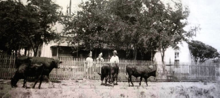 Brandon's great-great-grandfather and his wife