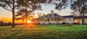 James Pharaon Creative photo of house in the country