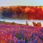 Banking on Land: Land Investment Tips for First-Time Buyers