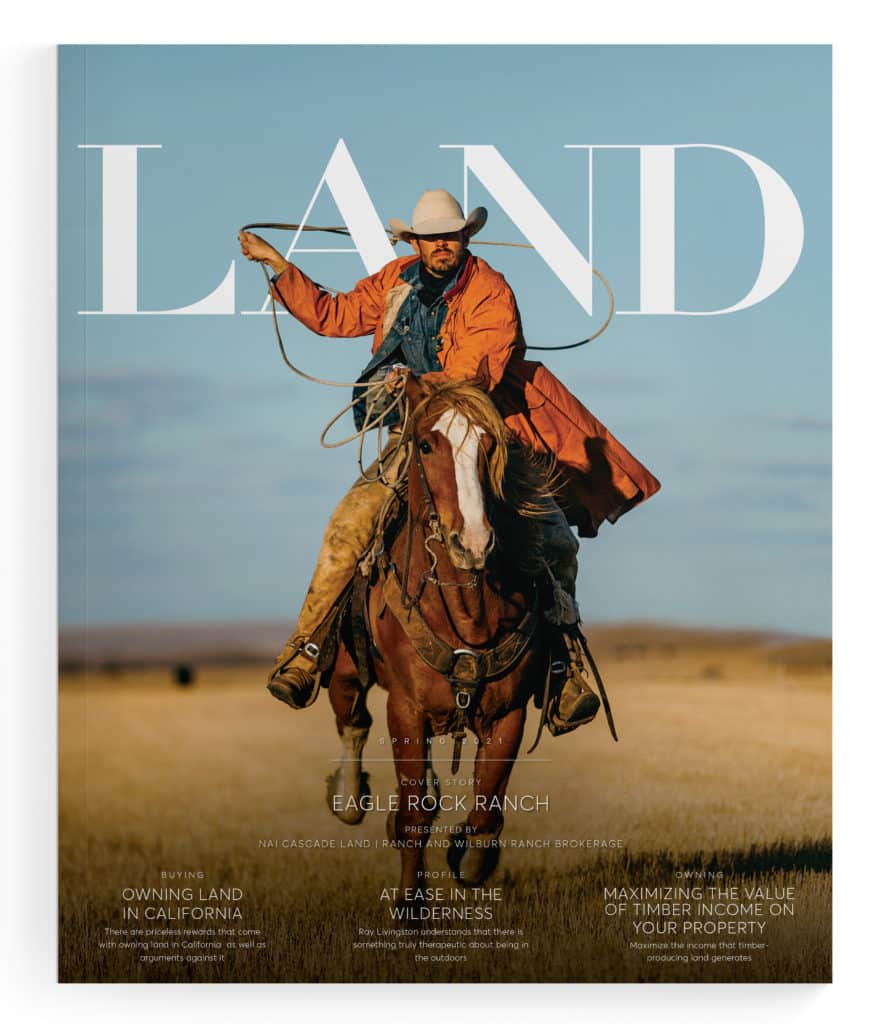 Spring 2021 LAND Magazine Cover