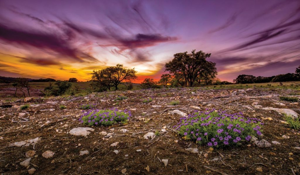 Pebble River Ranch