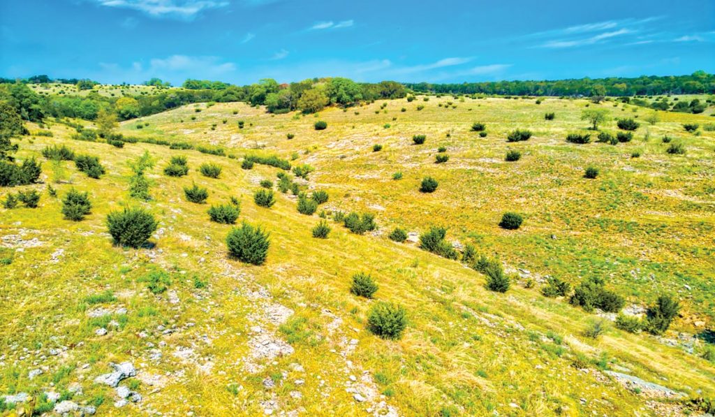 Pebble River Ranch