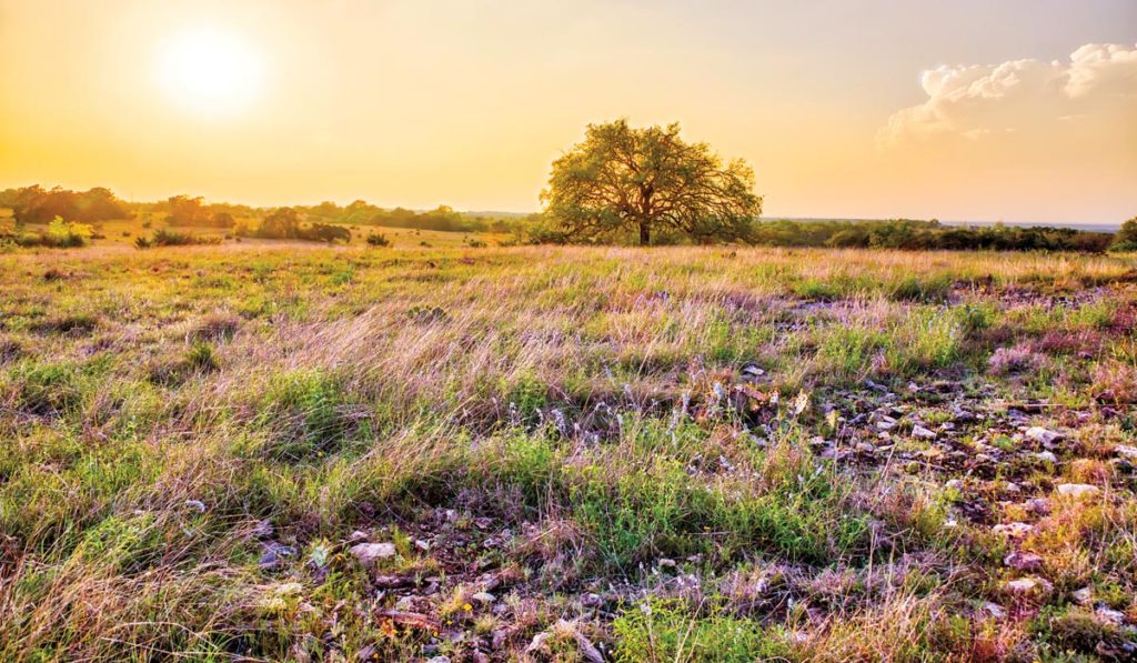 Pebble River Ranch