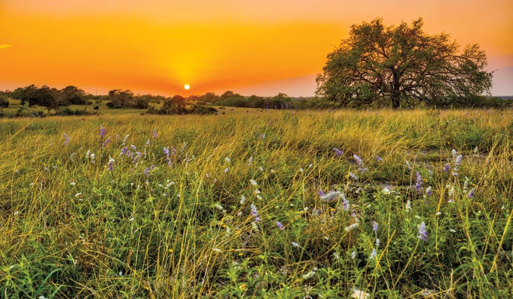 Pebble River Ranch