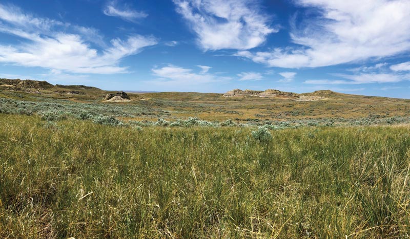 Antelope Creek Ranch