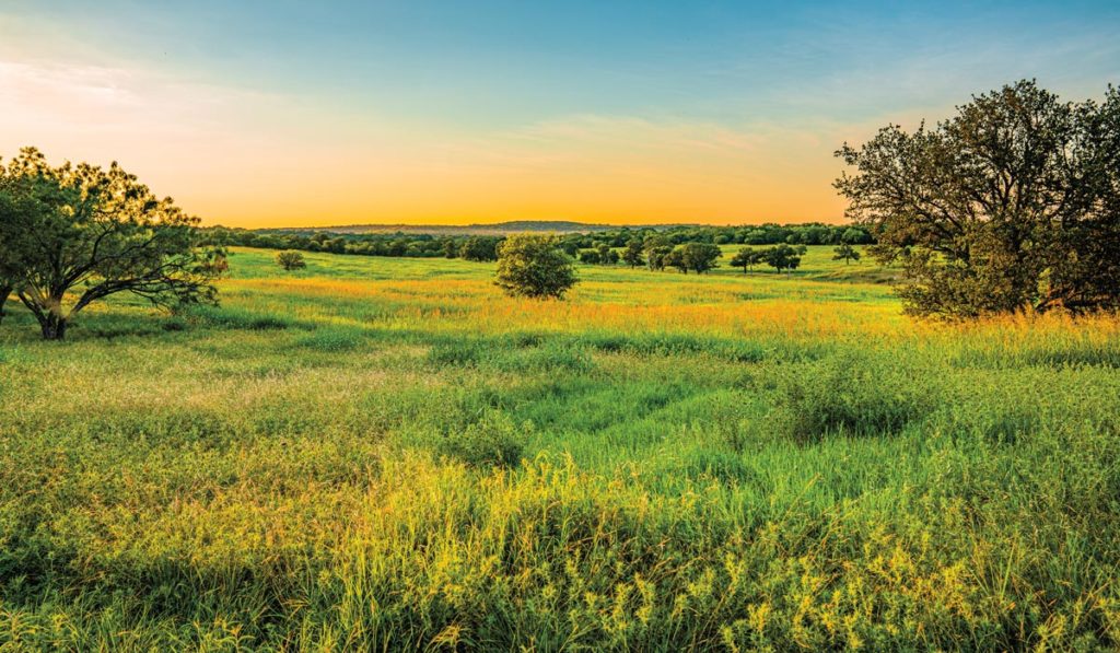 Cherokee Springs Ranch