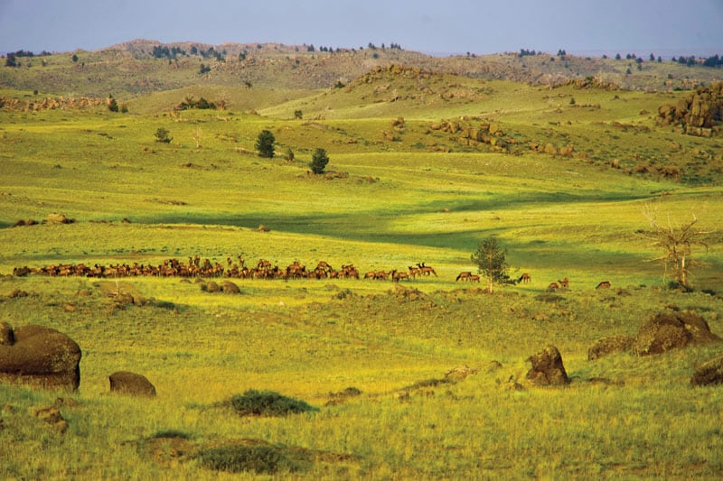 Point of Rocks Ranch