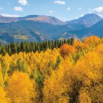 RLI Colorado Chapter | Scenic Colorado mountains in the Fall
