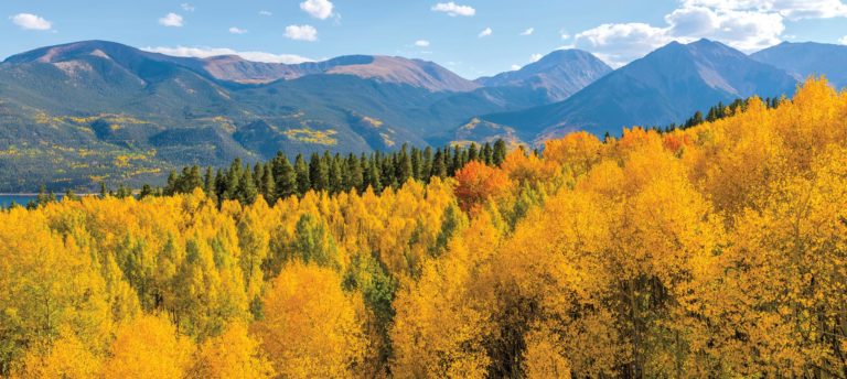 RLI Colorado Chapter | Scenic Colorado mountains in the Fall