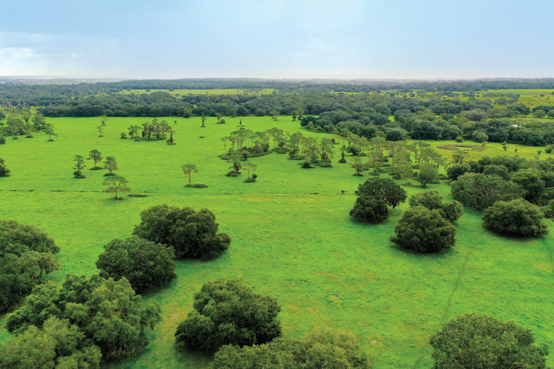 The Ranch at Mossy Island