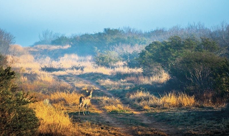 Demand for Texas Land Leading to Rapid Technology Changes