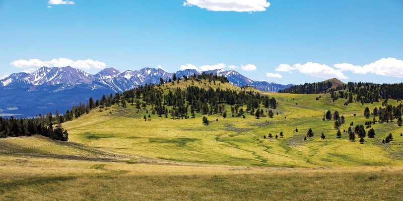 Just LANDed | Elk Ridge Ranch