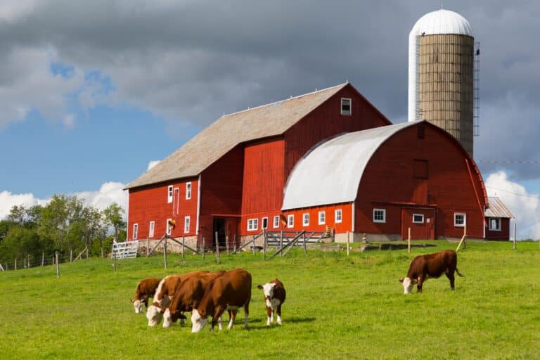 Essential Considerations Before Purchasing a Farm