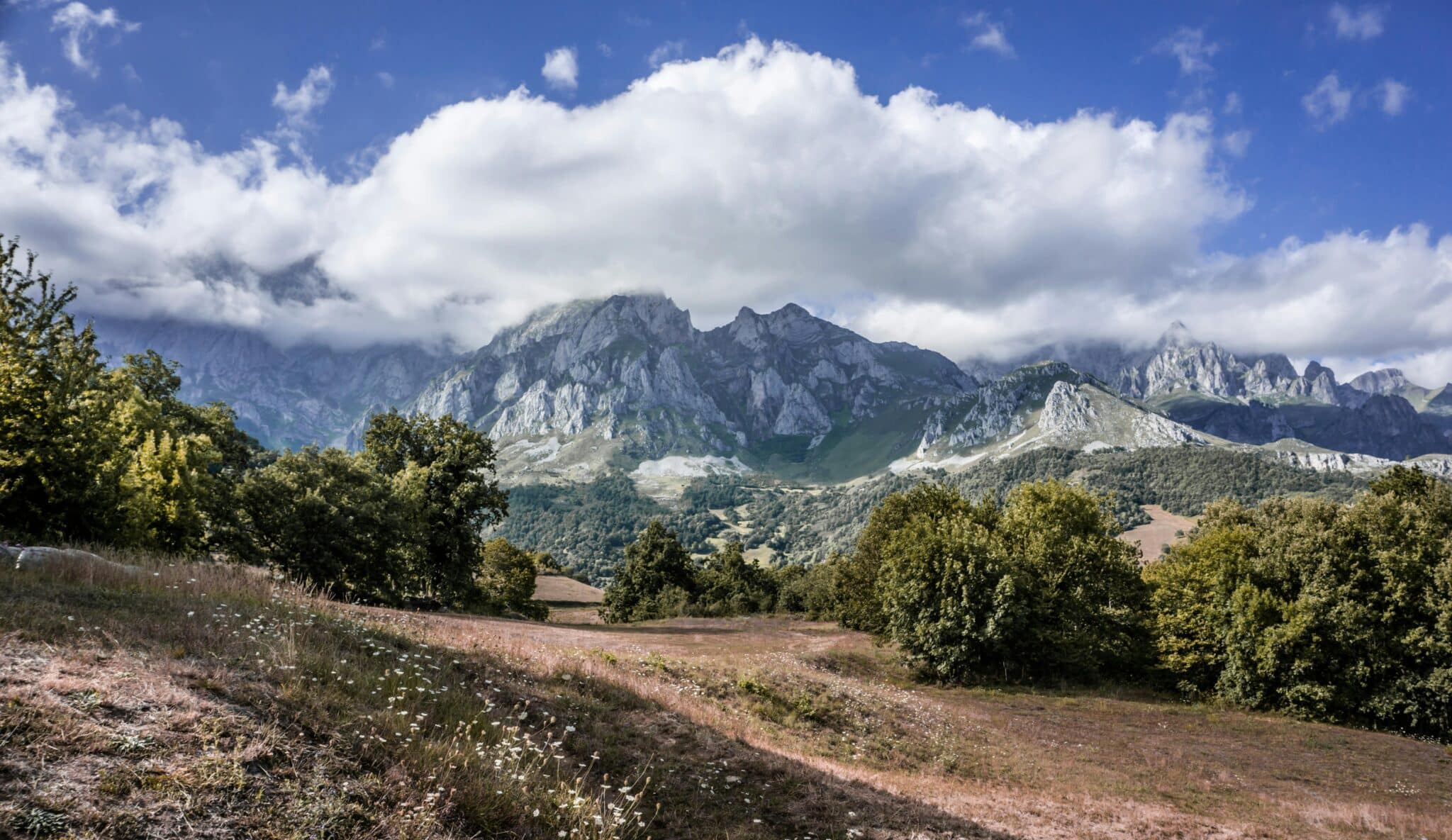 What is Undeveloped Land?